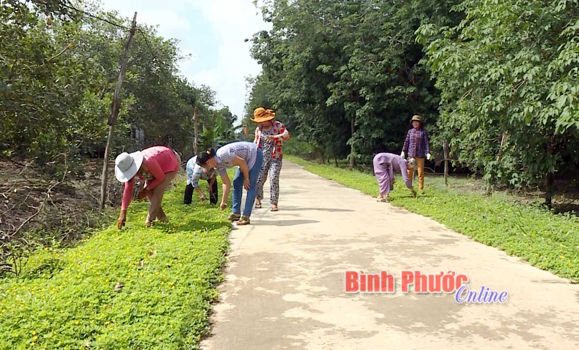 Tân Quan xây dựng điểm sáng chấp hành pháp luật