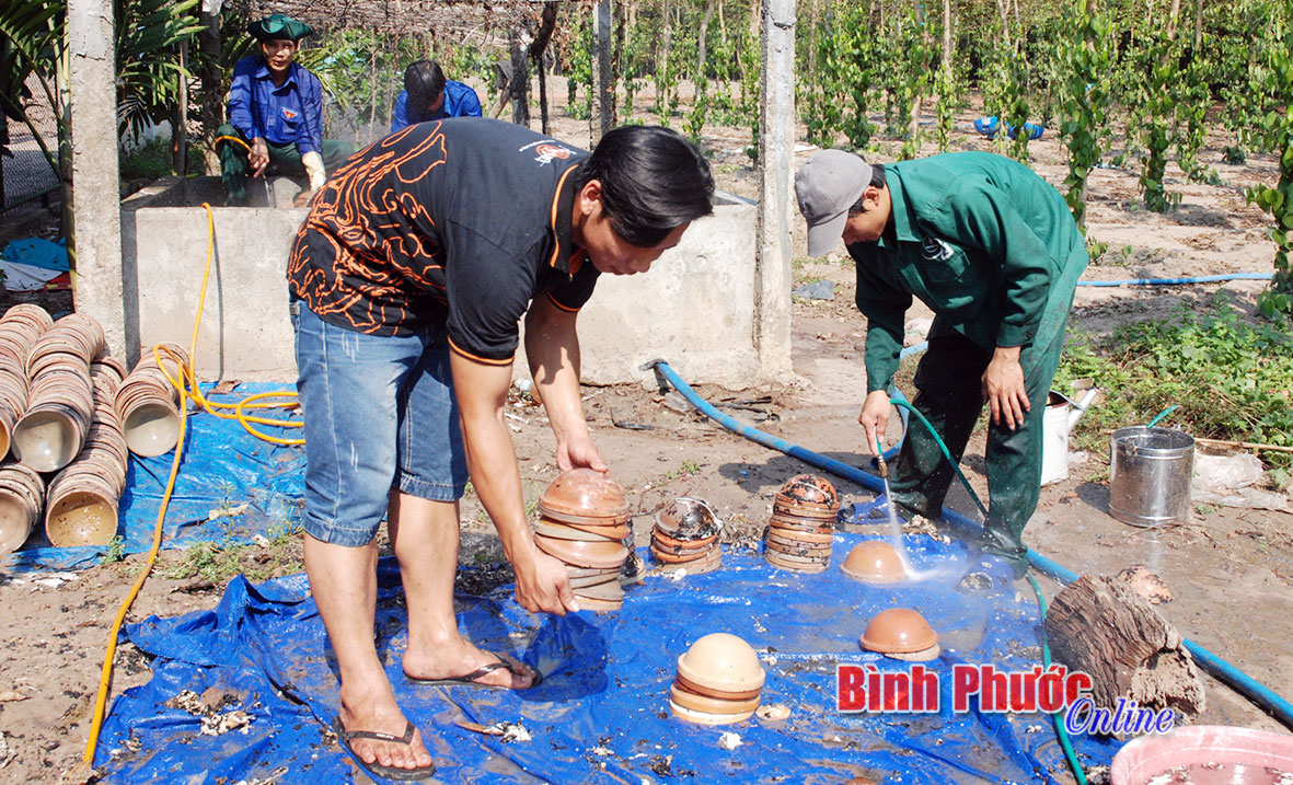 Hiệu quả từ mô hình thanh niên tình nguyện ở Tân Lập Hiệu quả từ mô hình thanh niên tình nguyện ở Tân Lập