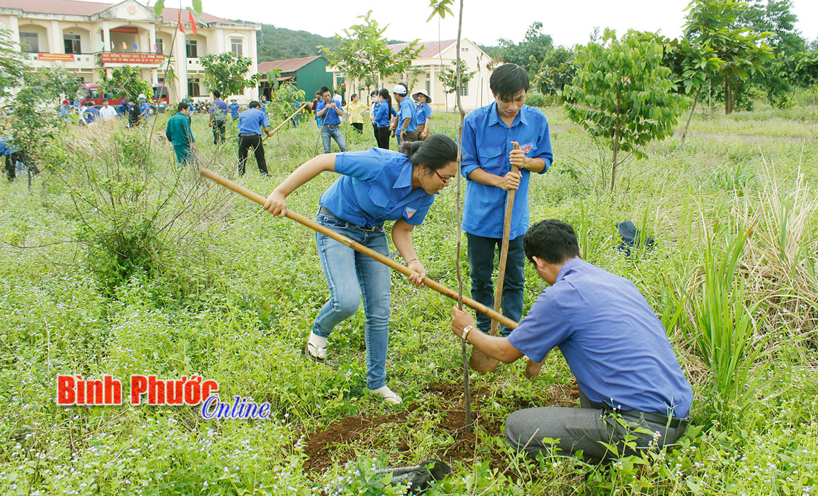 baoin31320165.jpg