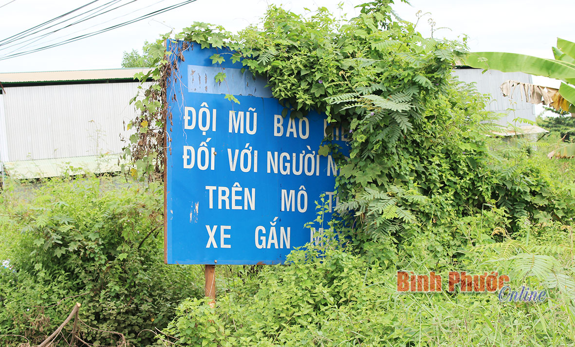 baoin31520163.jpg