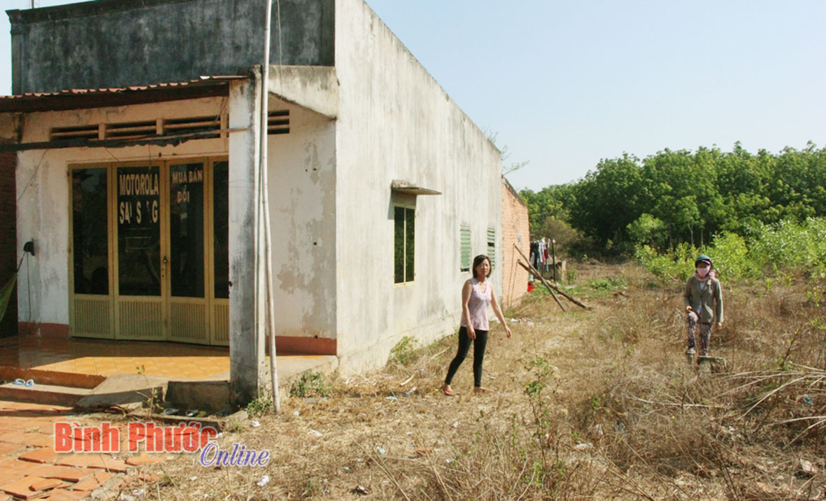 Thông tin tiếp về vụ “Cấp đất trên giấy ở xã Tân Hưng”