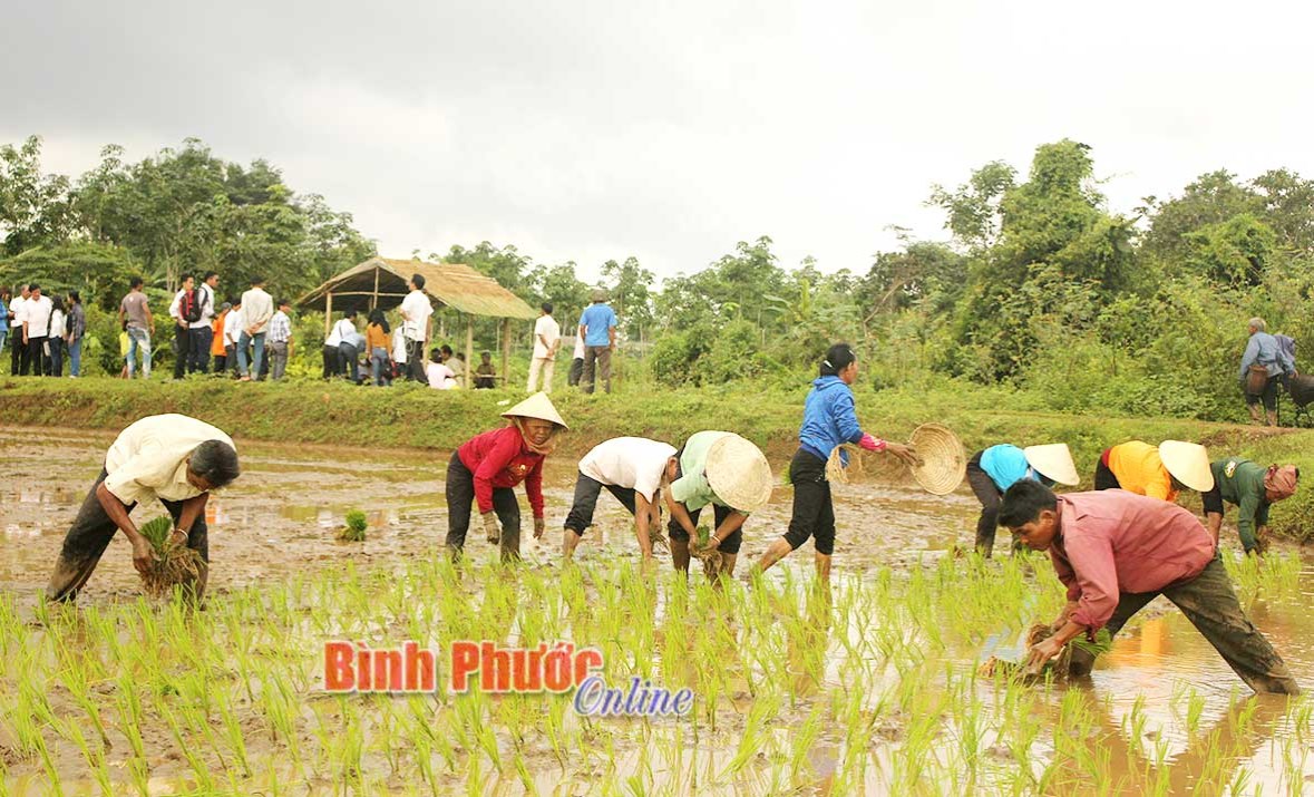 Đồng bào DTTS Lộc Ninh giữ gìn bản sắc văn hóa dân tộc