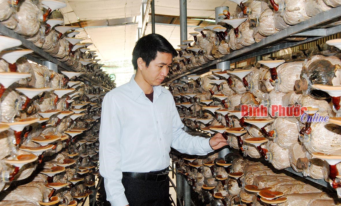 Nơi “chắp cánh” giấc mơ khởi nghiệp Nơi “chắp cánh” giấc mơ khởi nghiệp
