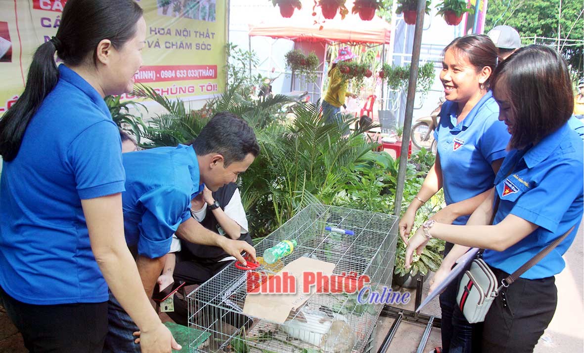26 gian hàng tham gia khởi nghiệp “Hội chợ xanh”