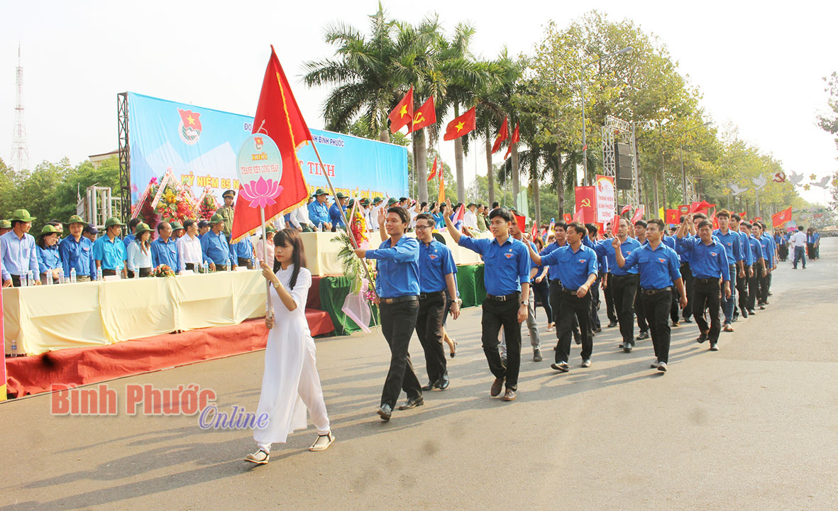 baoin7420161.jpg
