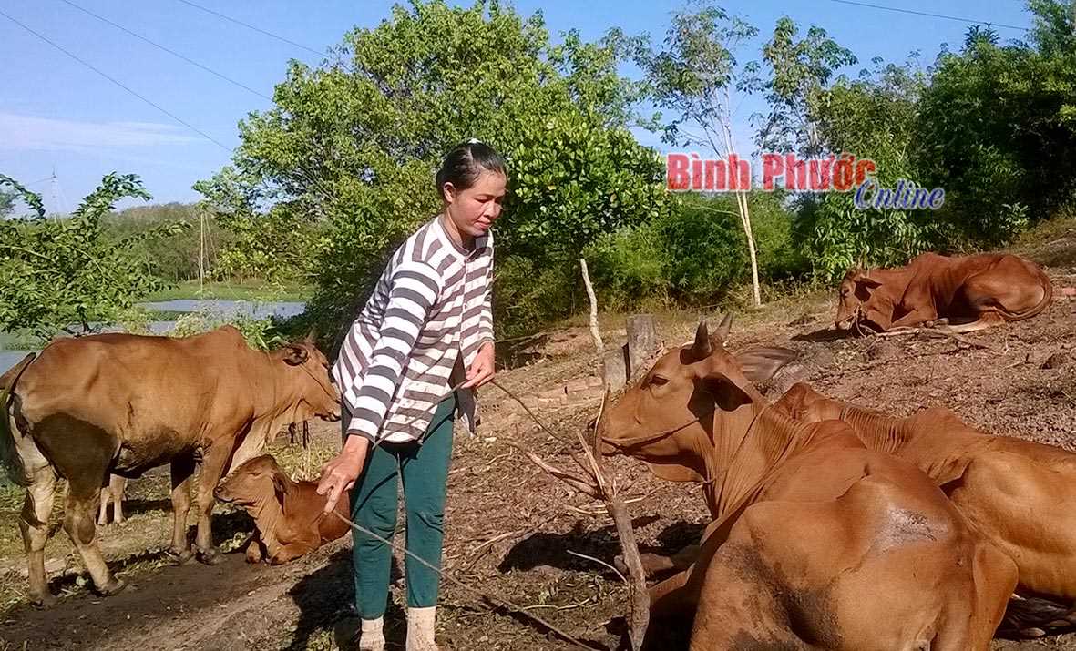 Khá lên từ đồng vốn ưu đãi