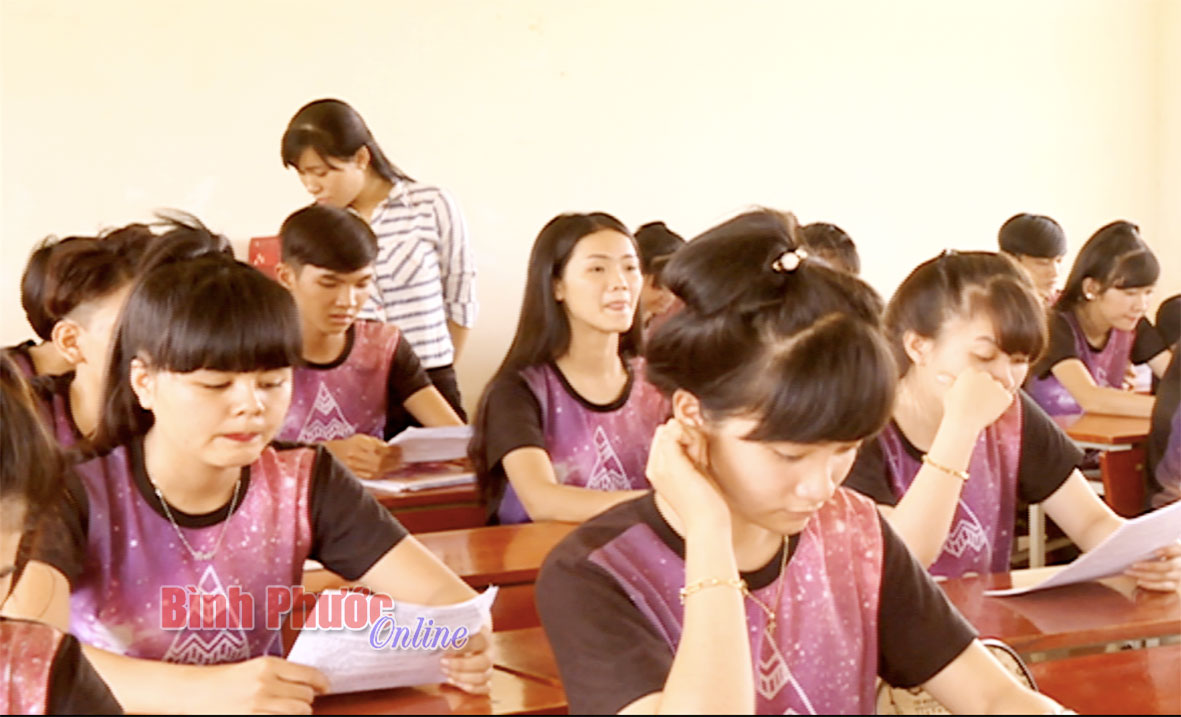 baoin9520167.jpg
