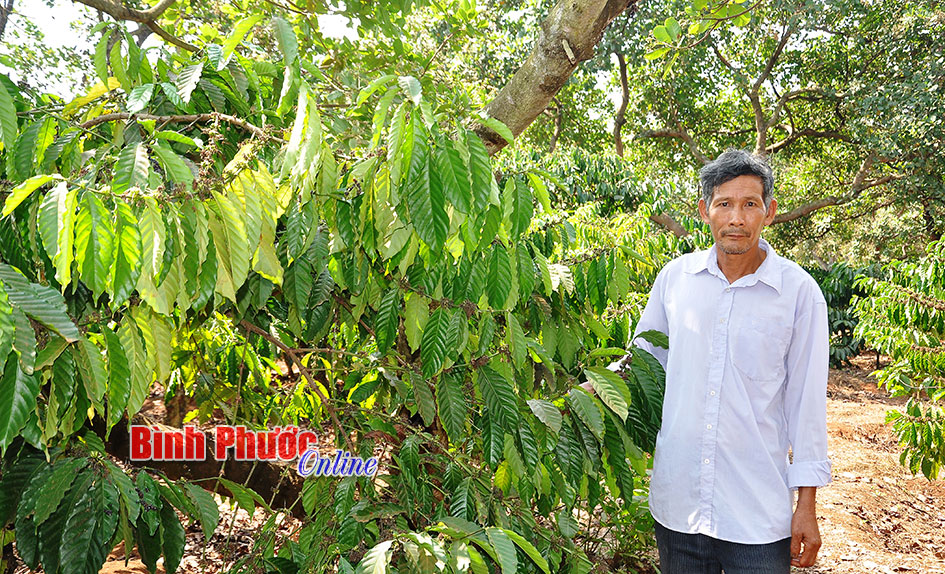 Nhà nông nuôi 6 con học đại học Nhà nông nuôi 6 con học đại học