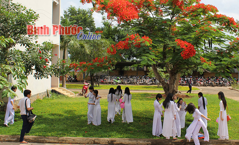 Sẽ không còn đường vòng vào đại học Sẽ không còn đường vòng vào đại học