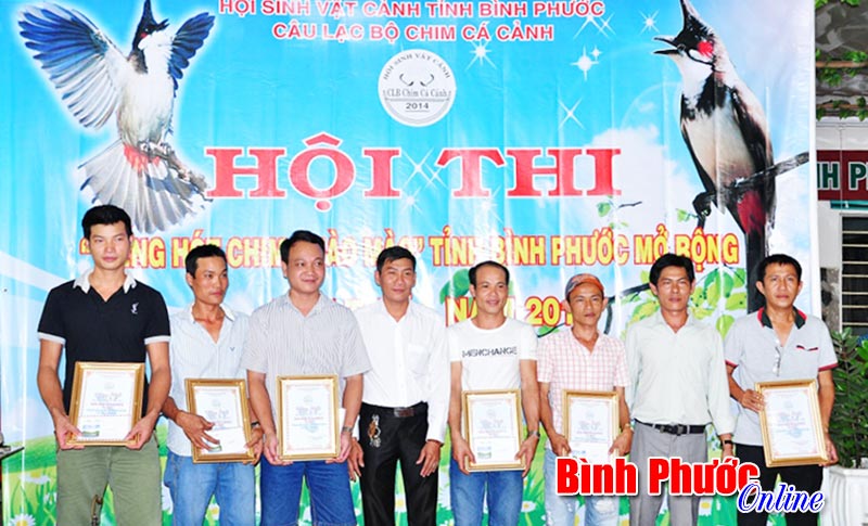 Hội thi chim chào mào tỉnh lần 1 năm 2015