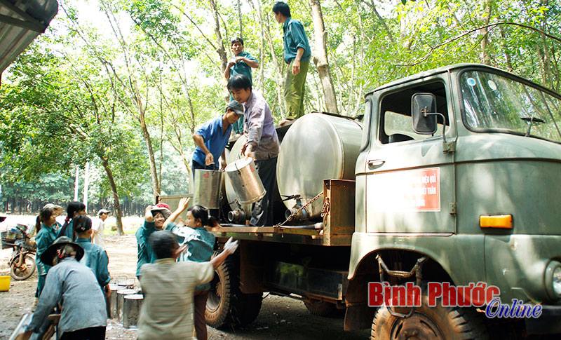 baoinso23691.jpg