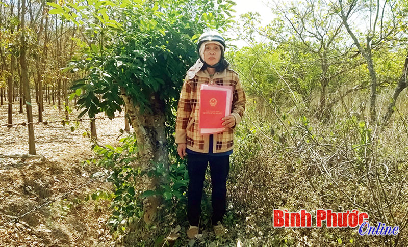 baoinso23703.jpg