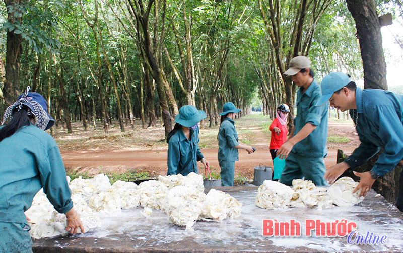 Sẽ tính BHXH theo mức lương thực tế Sẽ tính BHXH theo mức lương thực tế