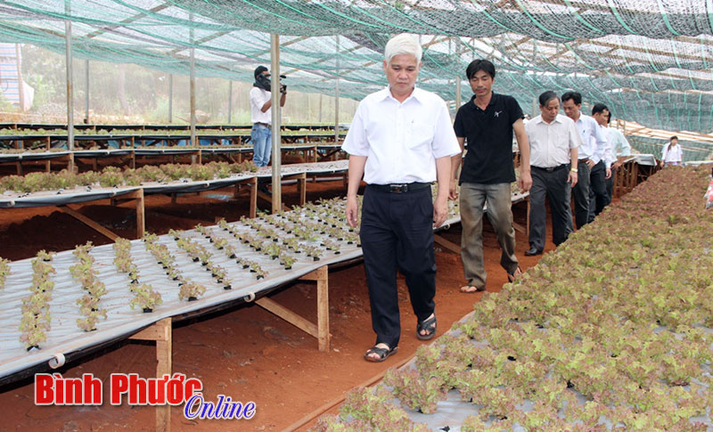Huy động tối đa nguồn lực xây dựng NTM Huy động tối đa nguồn lực xây dựng NTM