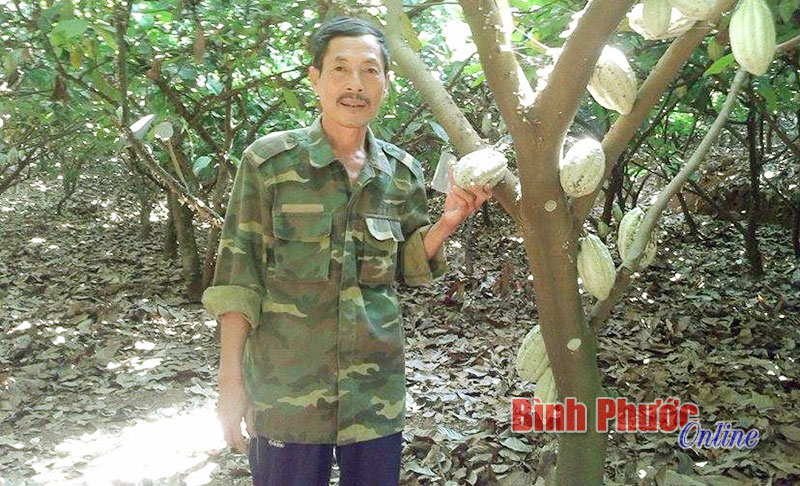 Ông Nguyễn Văn Bớt: Triệu phú trồng xen Ông Nguyễn Văn Bớt: Triệu phú trồng xen