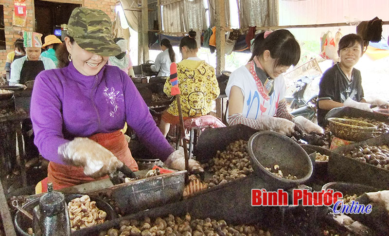 baoinso23864.jpg