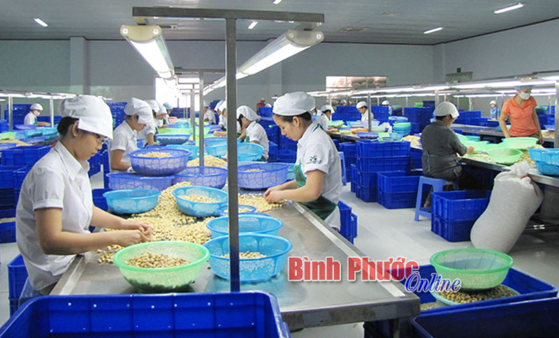 Phải kiên quyết với những doanh nghiệp cố tình chây ỳ nợ thuế Phải kiên quyết với những doanh nghiệp cố tình chây ỳ nợ thuế