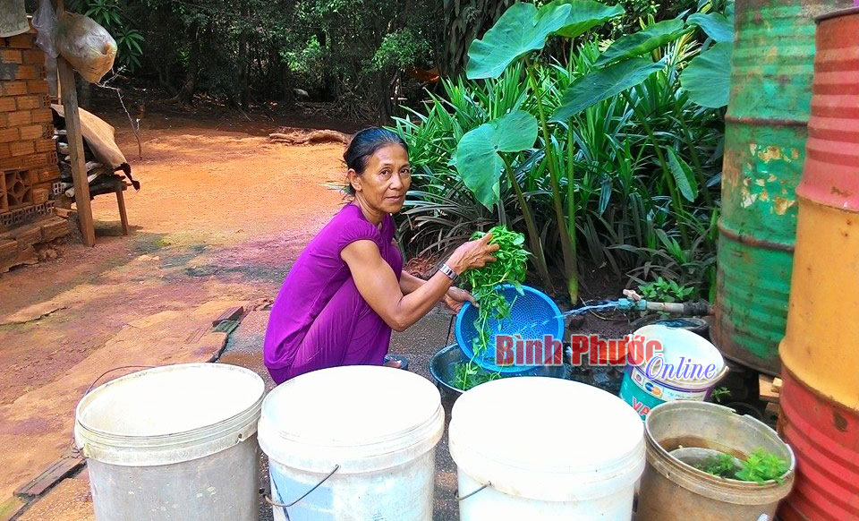 Bi kịch của một phụ nữ Bi kịch của một phụ nữ