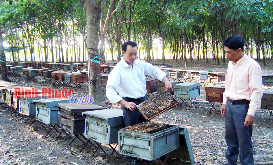baoinso24376.jpg