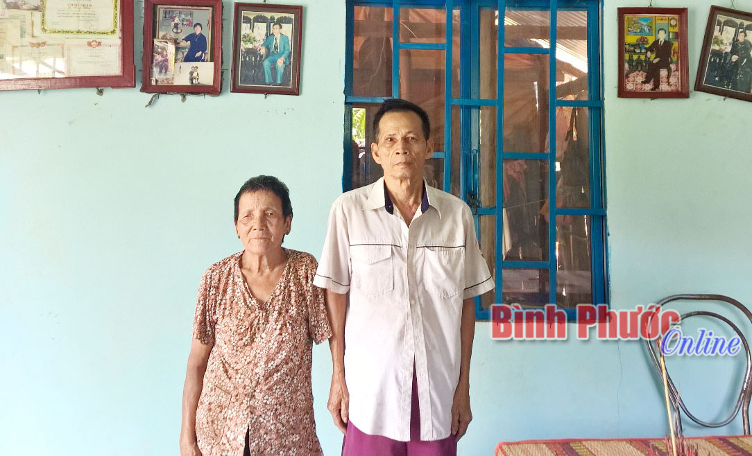 baoinso24401.jpg