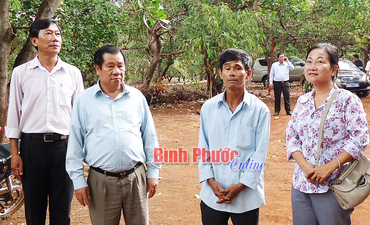 Hội nông dân - chuyển biến từ phong trào thi đua yêu nước