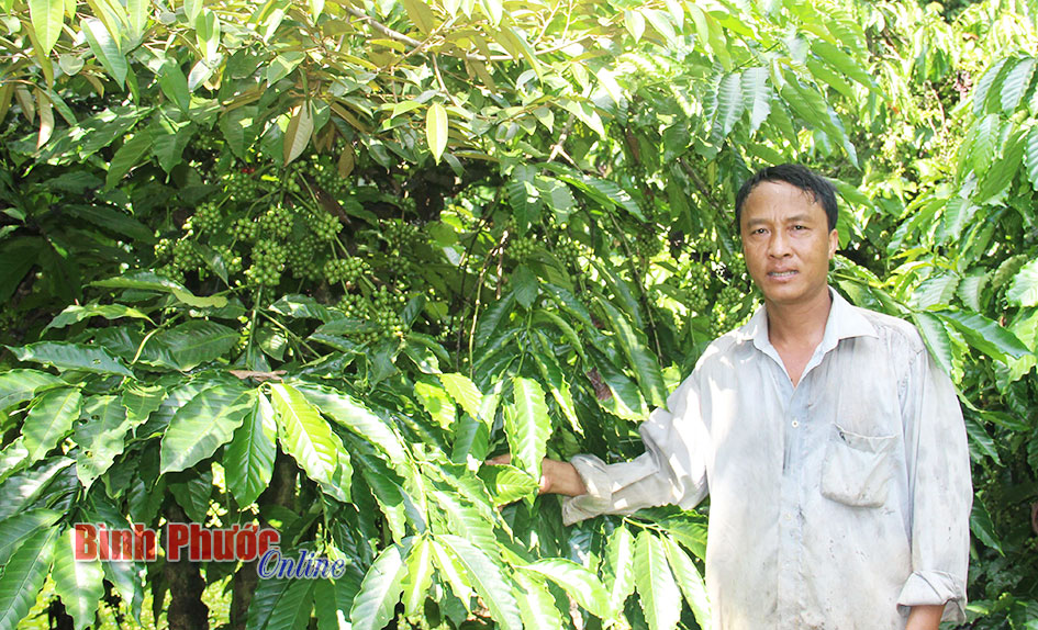 Thọ Sơn: Chủ động xây dựng nông thôn mới