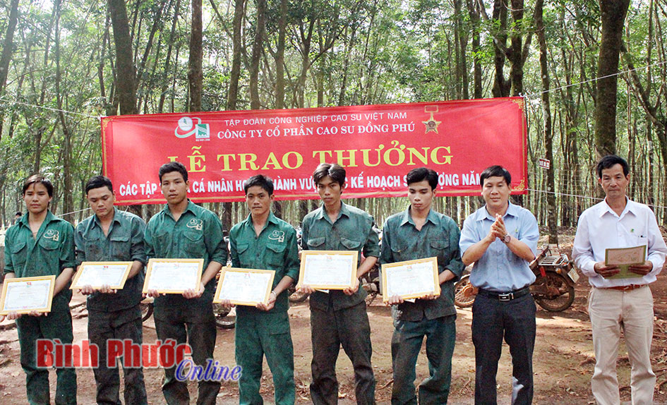 Sức trẻ ở Công ty cổ phần cao su Đồng Phú Sức trẻ ở Công ty cổ phần cao su Đồng Phú