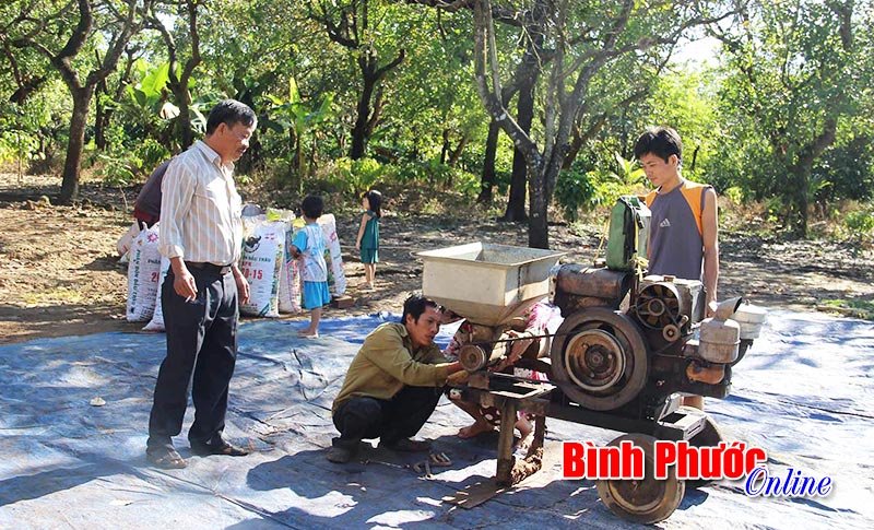 baoinso612.jpg