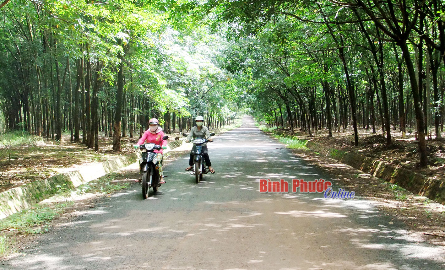 baointhu64.jpg