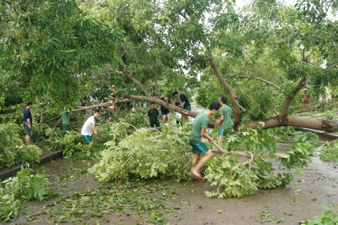 baoso10_17.jpg