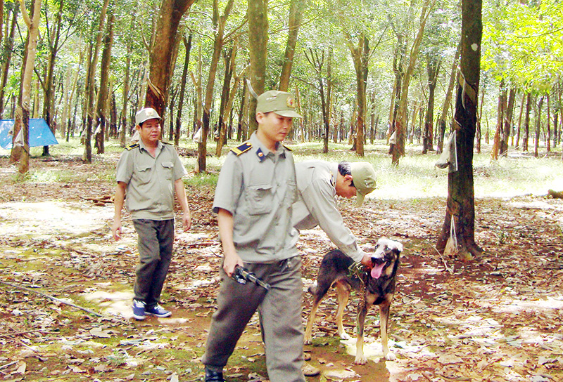 Ký kết giữ gìn an ninh trật tự và bảo vệ tài sản Ký kết giữ gìn an ninh trật tự và bảo vệ tài sản