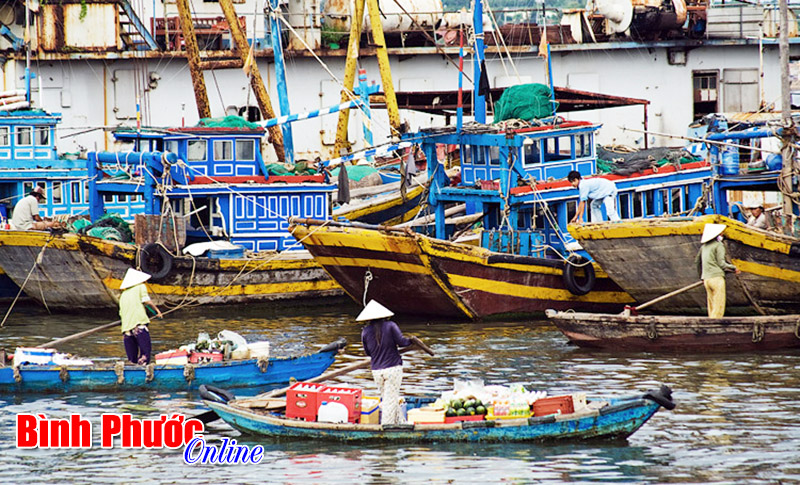 baovevungchac.jpg