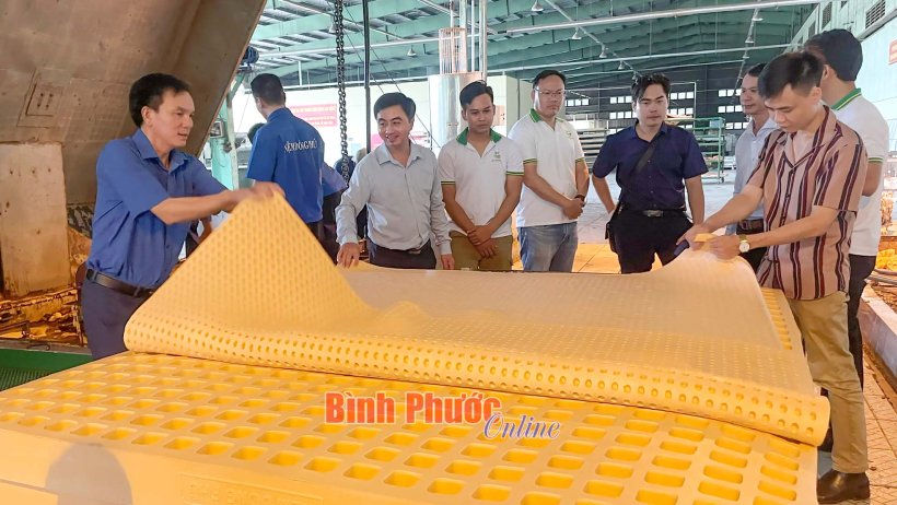 'Bắt tay' đưa nông sản lên sàn