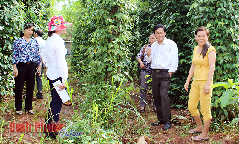 Bất cập trong sử dụng kinh phí hỗ trợ nhân dân khắc phục hạn hán Bất cập trong sử dụng kinh phí hỗ trợ nhân dân khắc phục hạn hán