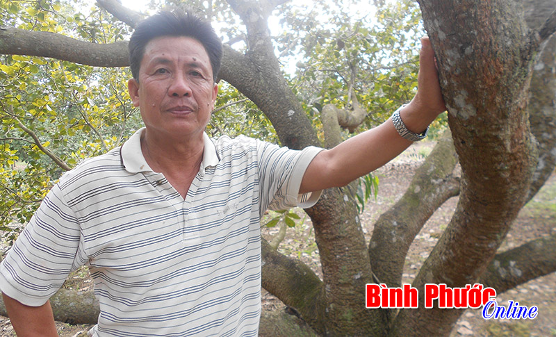 Bệnh binh Nguyễn Minh Thiện vượt khó Bệnh binh Nguyễn Minh Thiện vượt khó