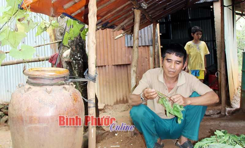 Bù Gia Mập: 436 hộ DTTS bán điều non, vay tiền lãi suất cao Bù Gia Mập: 436 hộ DTTS bán điều non, vay tiền lãi suất cao