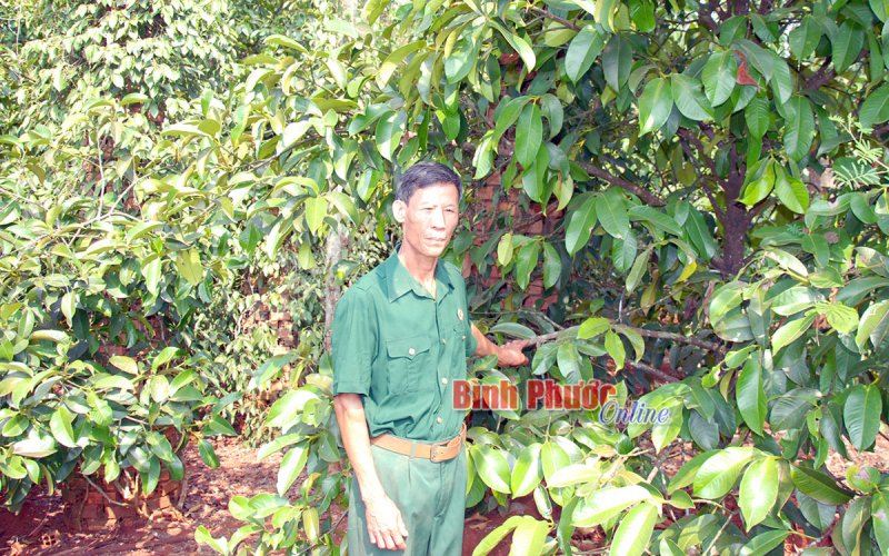Bí thư, trưởng thôn năng động