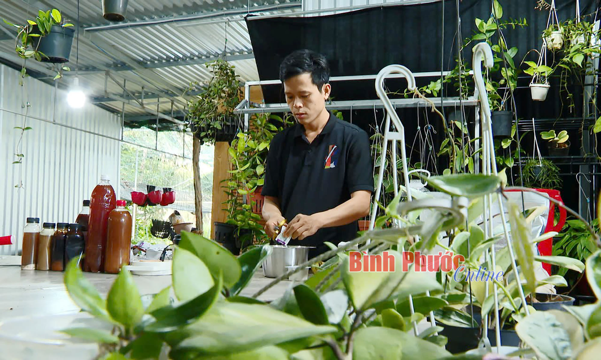 Biến rác thải thành phân hữu cơ Biến rác thải thành phân hữu cơ