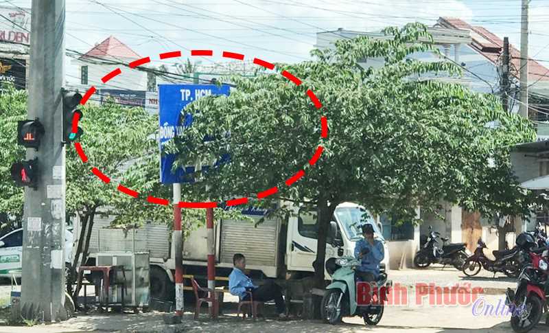 Biển chỉ dẫn “núp” trong tán cây Biển chỉ dẫn “núp” trong tán cây