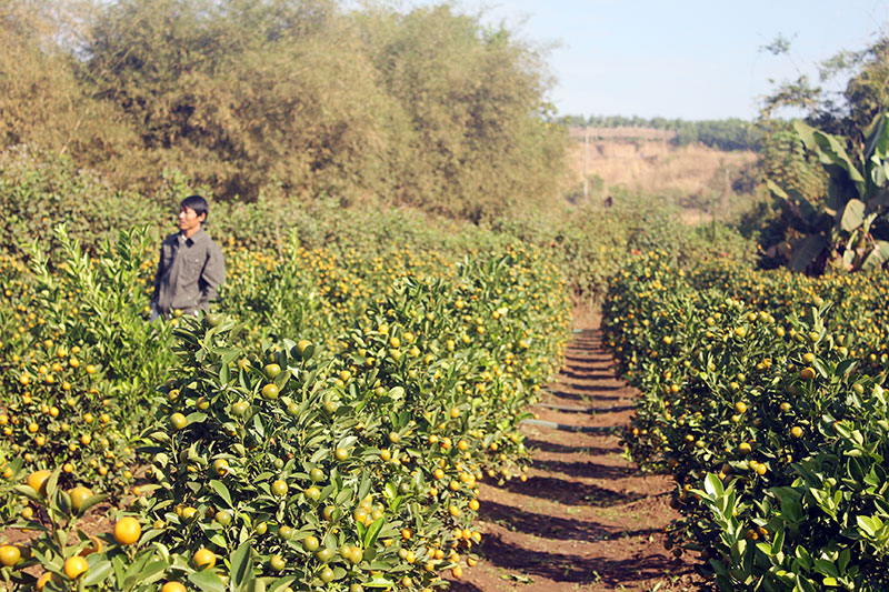 Biên giới vào xuân