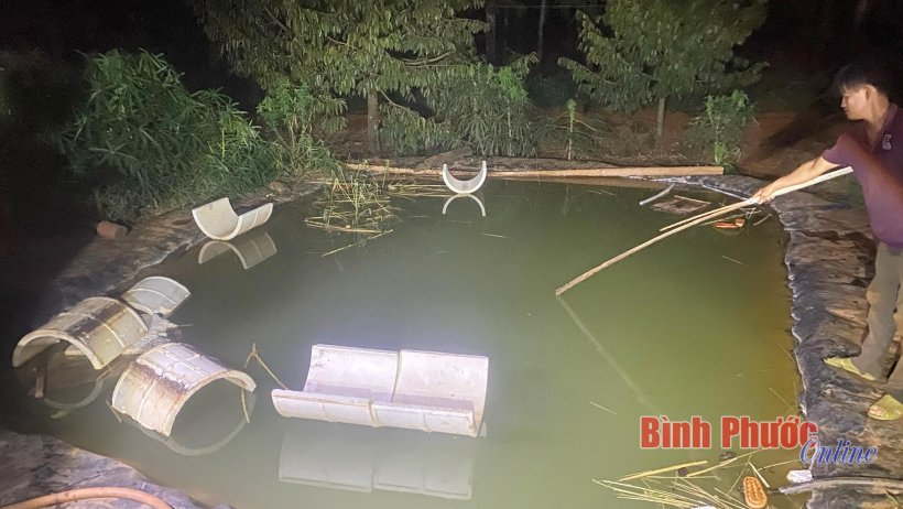 Bình Phước: 2 anh em đuối nước thương tâm