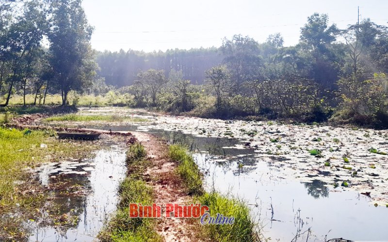 Bình Phước: Đi bắt ốc, 2 cháu bé bị đuối nước Bình Phước: Đi bắt ốc, 2 cháu bé bị đuối nước