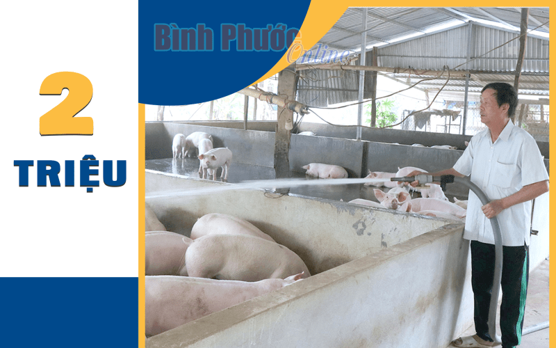 Bình Phước: Phát triển đàn heo đạt 3,2 triệu con vào năm 2030