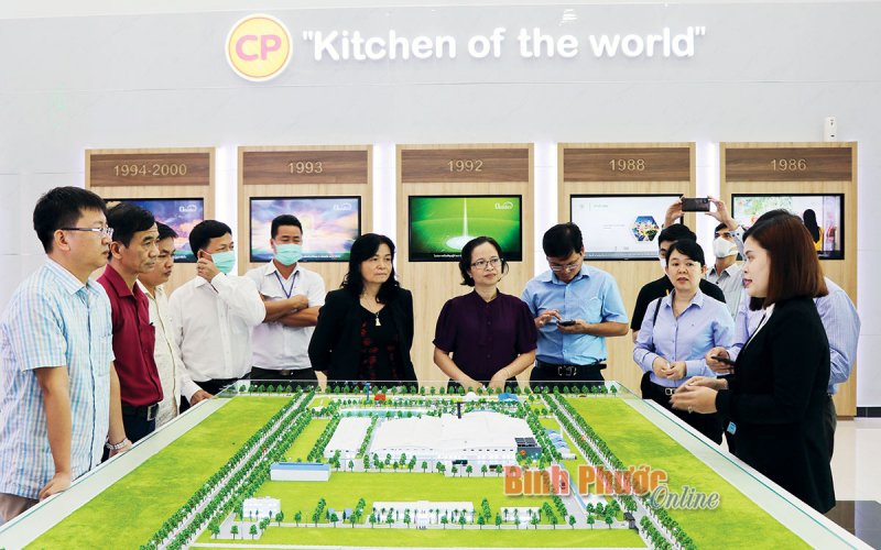 Bình Phước vượt khó thành công
