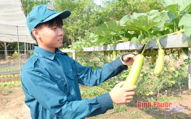 Bình yên trên chốt dân quân biên giới