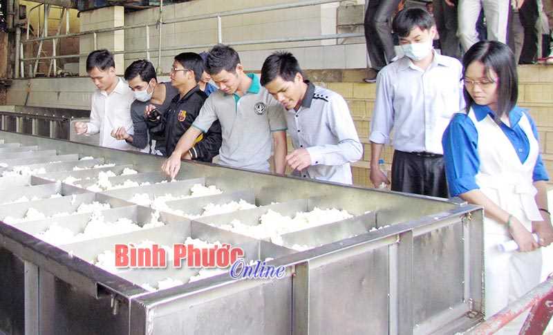 Toàn tỉnh có 55.407 cơ sở doanh nghiệp, kinh tế, hành chính, sự nghiệp, tôn giáo Toàn tỉnh có 55.407 cơ sở doanh nghiệp, kinh tế, hành chính, sự nghiệp, tôn giáo