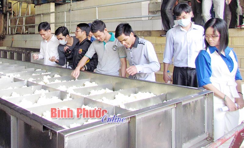 6 tháng, Bình Long thành lập 95 doanh nghiệp, cơ sở kinh tế cá thể 6 tháng, Bình Long thành lập 95 doanh nghiệp, cơ sở kinh tế cá thể