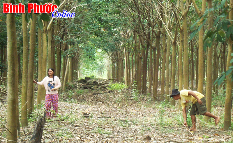 binhphuoc(2).jpg