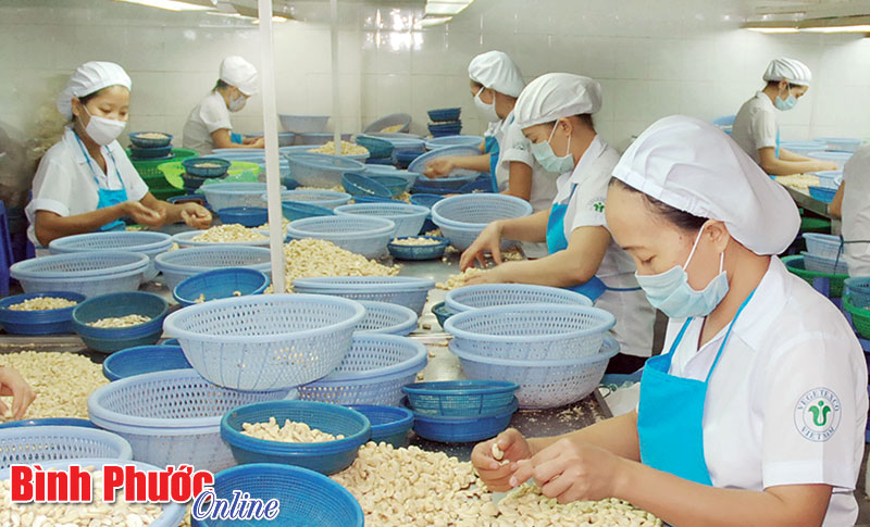Bình Phước tuổi 19 Bình Phước tuổi 19
