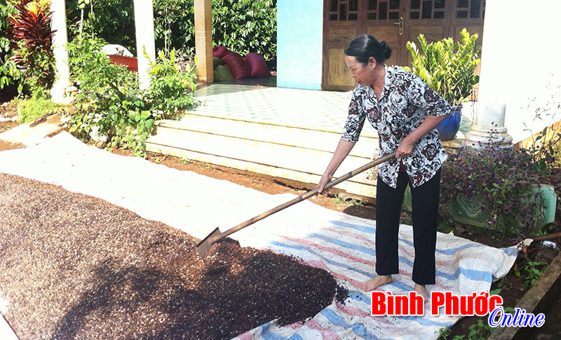 binhphuocmatmua.jpg
